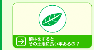 �A�т�����Ƃ��̓y�n�ɗǂ�������́H